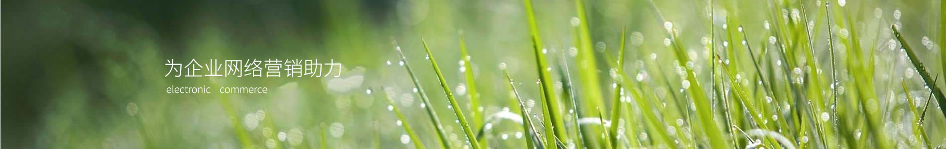 ҿƼ޹˾